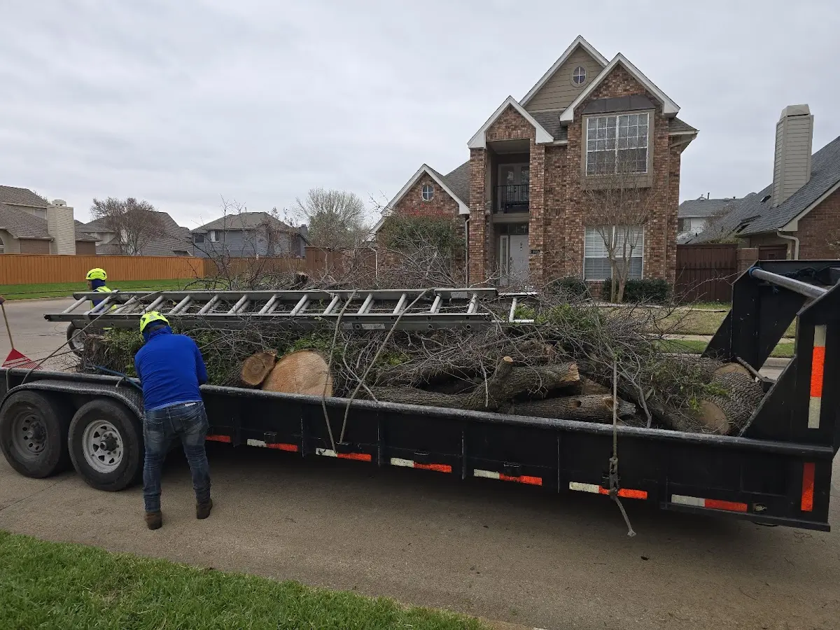 Expert Lot Clearing with proper safety equipment in Burlington